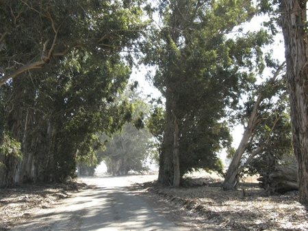xitroadP8290059